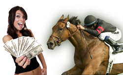 horse betting sites win