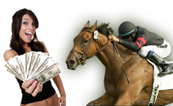 Horse race betting 101