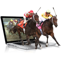 horse gambling online